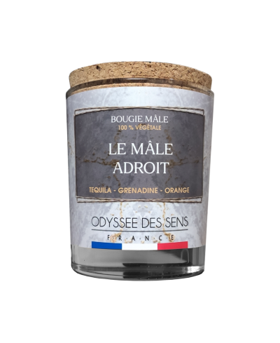 Bougie Le Mâle Adroit 220g
