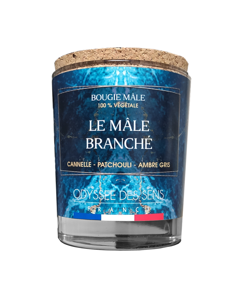 Bougie Le Mâle Branché 220g