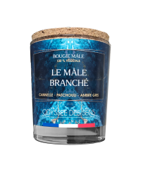 Bougie Le Mâle Branché 220g