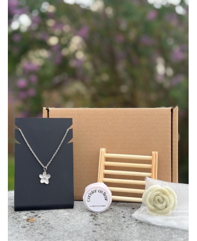 Box mensuelle avril 2026 collier argenté