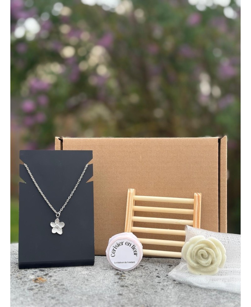 Box mensuelle avril 2026 collier argenté